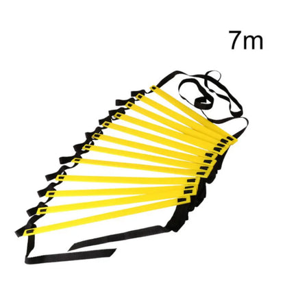Agility Training Ladder